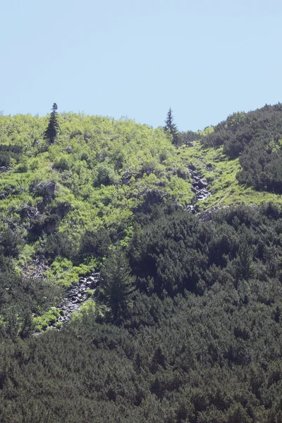 En la montaña —  Fotos de Stock