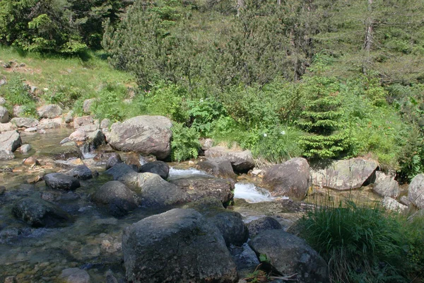 Río en las montañas — Foto de Stock