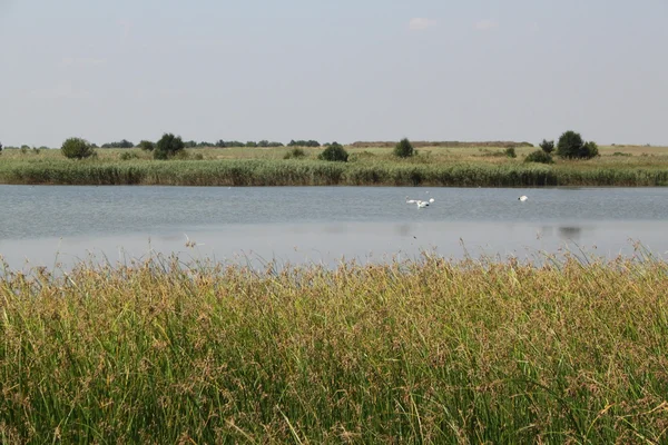 See in der Nähe vom Meer — Stockfoto