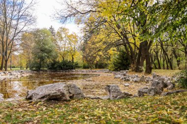 Parkta romantik renkli bir sonbahar. Bir sürü yaprak ve küçük bir gölet, ekim ayı çekimi.