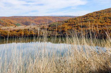 Bulgaristan 'da sonbaharda çekilen Pchelina Barajı' nın güneşli manzarası