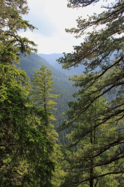 Borovets resort, Rila Dağı