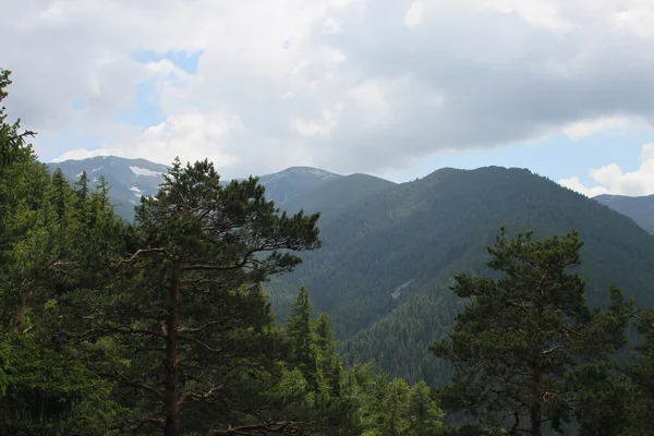 Borovets resort in Rila mountain — Stock Photo, Image