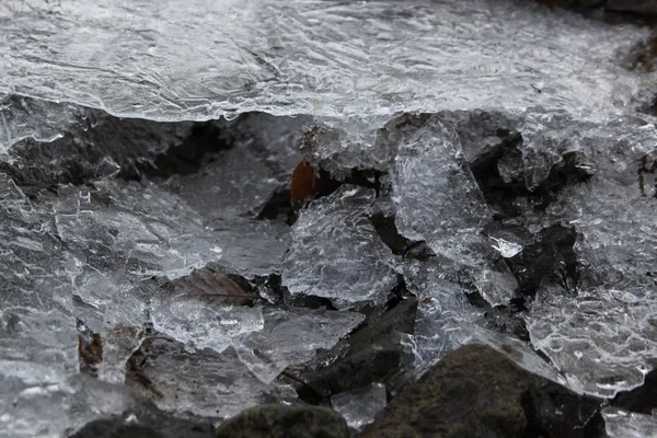 Congelados no solo — Fotografia de Stock