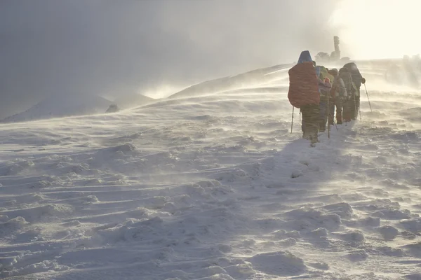 Yürüyüşçüler kış dağlarında — Stok fotoğraf