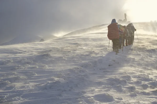 Escursionisti nelle montagne invernali — Foto Stock