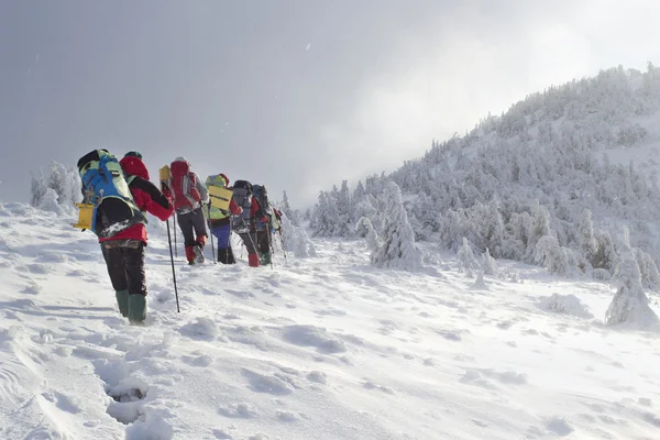 Wanderer in den Winterbergen — Stockfoto