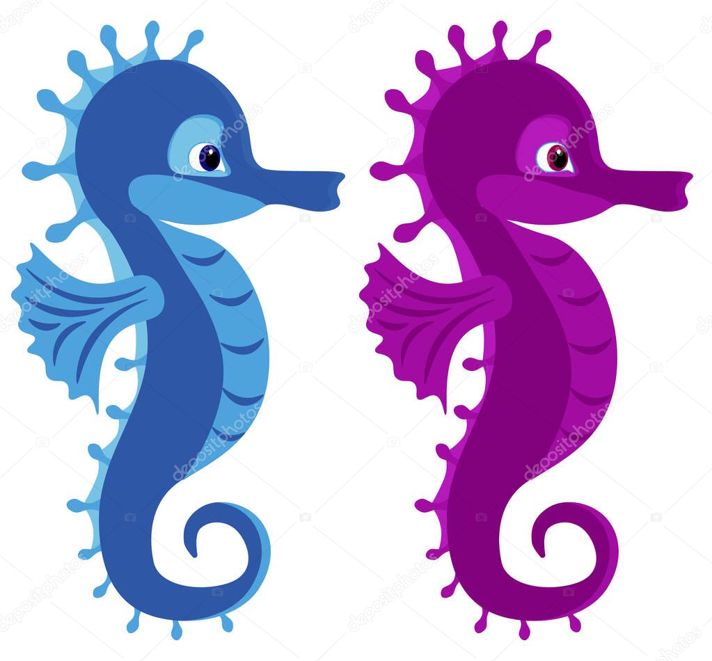 Seahorse drawing vector isolated on white background. Flat cartoon illustration.