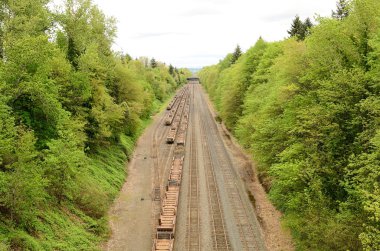 Portland demiryolu