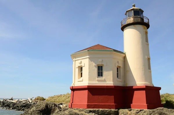 Coquille Light — Stock Photo, Image