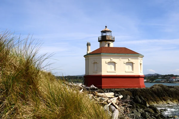 Coquille Light — Stock Photo, Image