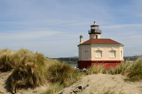 Lumière de coquille — Photo