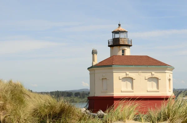 Coquille Light — Stock Photo, Image