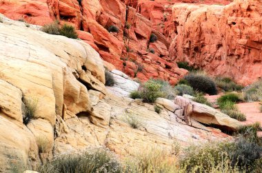 Valley of Fire