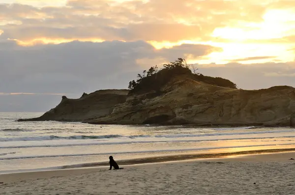 Pacific City — Stockfoto