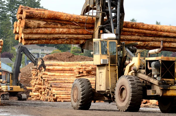 Log Yard — Stock Photo, Image