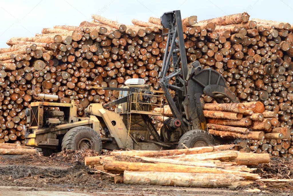 Log Yard