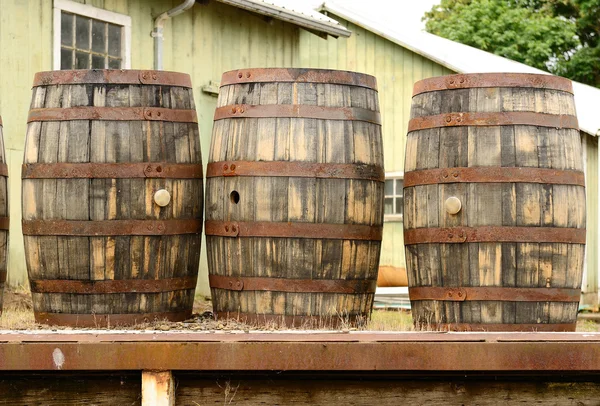 Barricas de vino — Foto de Stock