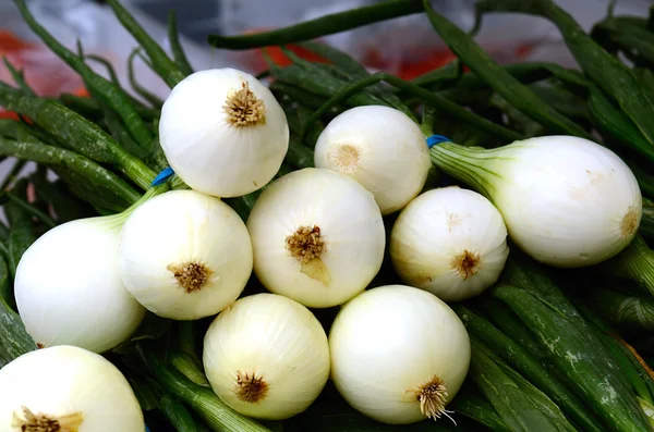 Marché des agriculteurs — Photo