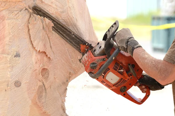 Chainsaw Sculpture — Stock Photo, Image