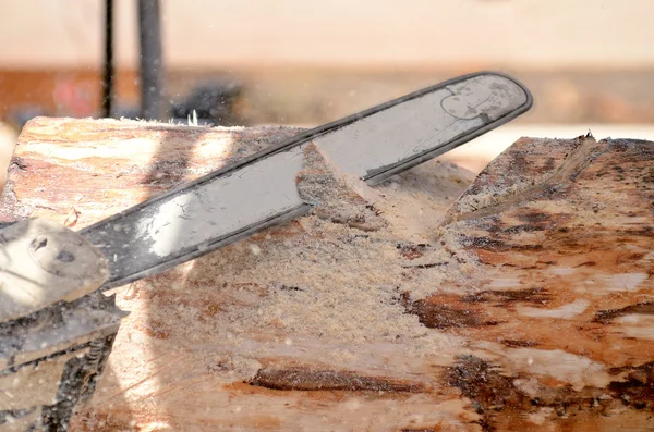 Chainsaw Sculpture — Stock Photo, Image