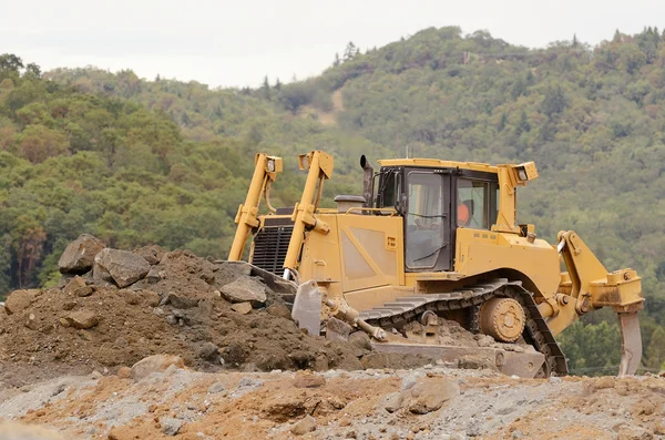 Toro grande — Foto de Stock