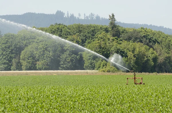 Ag Sprinkler — Stock Photo, Image