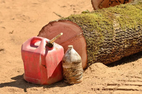 Oak Log — Stock Photo, Image