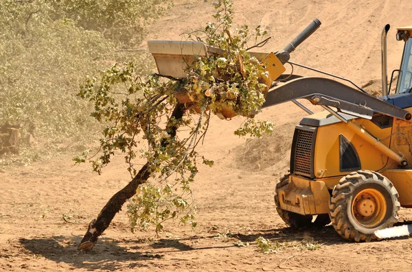 Backhoe borstel — Stockfoto