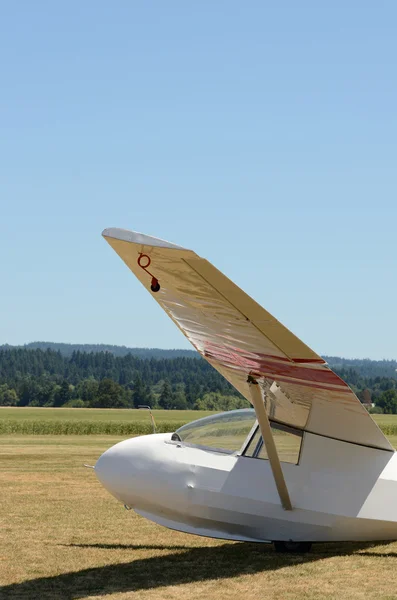 Glider — Stock Photo, Image