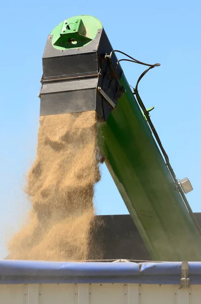 Combine working a field of grain in Oregon — Stock Photo, Image