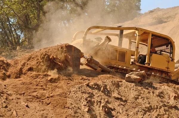 Toro grande — Foto Stock