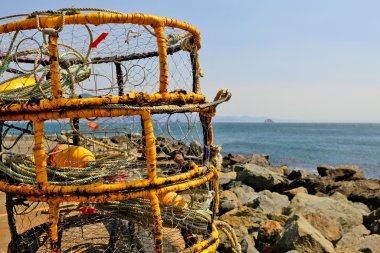 Port Orford