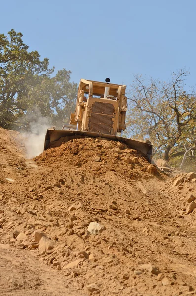 Bull Dirt — Stock Photo, Image