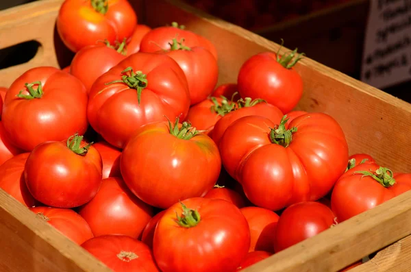 Tomaten — Stockfoto