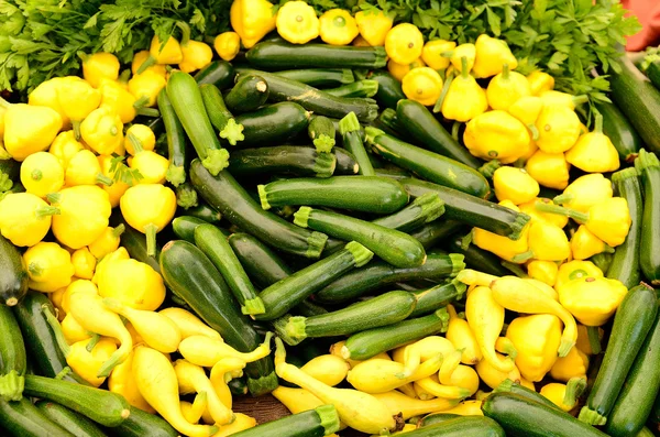 Squash — Stock Photo, Image