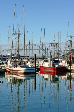Newport Water