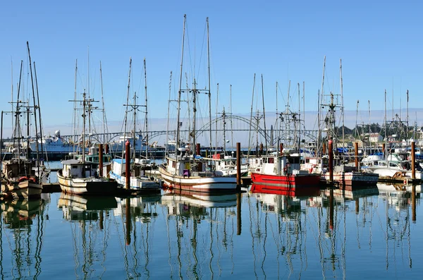 Wasser aus Neuseeland — Stockfoto