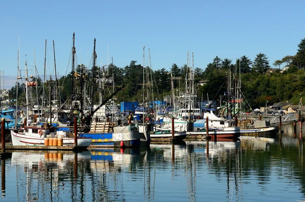 Newport Water — Stock Photo, Image