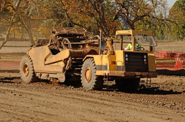 Büyük sıyırıcı