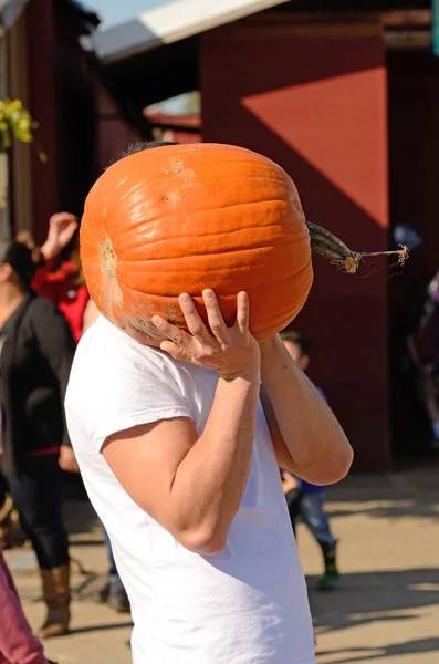 Calabazas — Foto de Stock