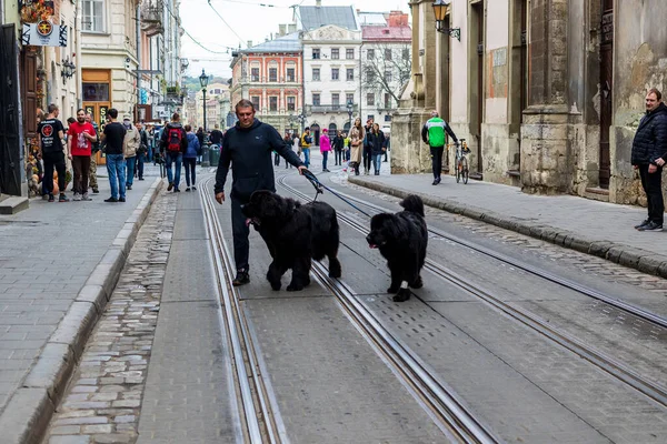 Lviv Oekraïne Oktober 2020 Een Smalle Keistenen Straat Met Een — Stockfoto