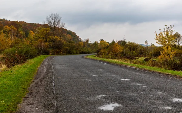 Şiddetli yağmurdan sonra ağaçlık dağların arasında ıslak viraj yolu. Ukrayna Karpatlarının sonbahar manzarası - sarı ve kırmızı ağaçlar yeşil iğnelerle birleştirilmiş.