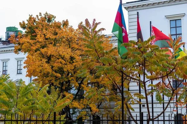 Autumn Cityscape Several State Flags Old Building Stands Trees Green — Stock Photo, Image