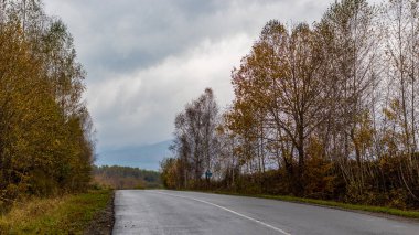 Ukrayna Karpatları 'ndaki sonbahar dağ manzarası. Sarı ve kırmızı ağaçlar yeşil iğnelerle birleşmiş. Dağlarda terk edilmiş bir yol. Arka planda yüksek dağlar. 
