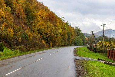 Bir dağ vadisinde küçük bir köy. Şiddetli yağmurdan sonra ağaçlık dağların arasında ıslak viraj yolu. Ukrayna Karpatlarının sonbahar manzarası - sarı ve kırmızı ağaçlar.