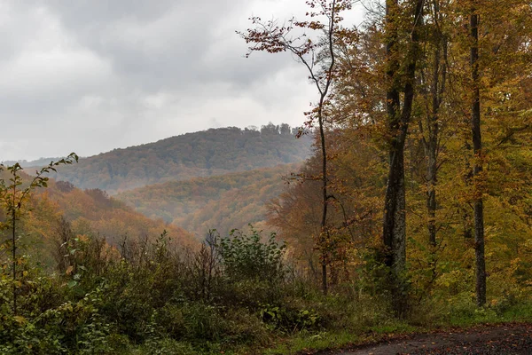 Paysage Montagneux Automne Dans Les Carpates Ukrainiennes Arbres Jaunes Rouges — Photo