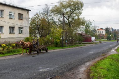 Zakarpattia Oblastı, Ukrayna - 26 Ekim 2020: Bir at tarafından çekilen at arabasında iki adam yol boyunca at sürüyor. Bir dağ vadisinde küçük bir köy. Sonbahar manzarası.