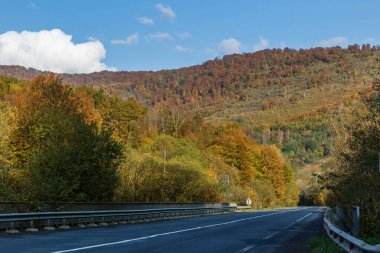 Sonbahar dağ manzarası. Sarı ve kırmızıya boyanmış sonbahar ağaçları. Yeşil iğneler ve ıssız bir yolun kenarında mavi gökyüzü. Ukrayna Karpatları 'nda renkli sonbahar manzarası.