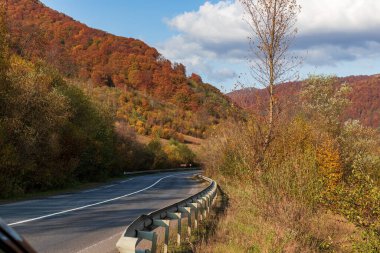 Sonbahar dağ manzarası. Sarı ve kırmızıya boyanmış sonbahar ağaçları. Yeşil iğneler ve ıssız bir yolun kenarında mavi gökyüzü. Ukrayna Karpatları 'nda renkli sonbahar manzarası.